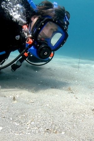 epizoda