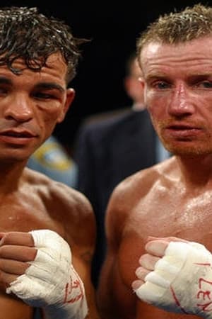 Legendary Nights: The Tale of Gatti-Ward