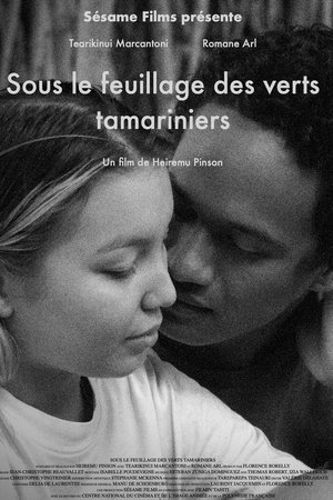 Sous le feuillage des verts tamariniers