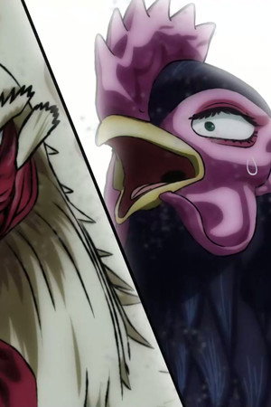 Built Like a Brick Coop