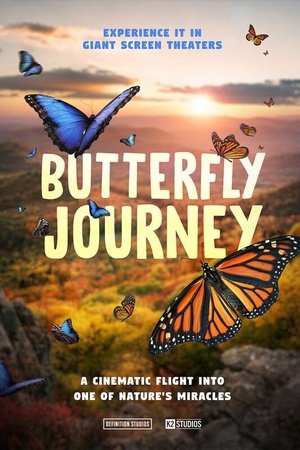 Butterfly Journey