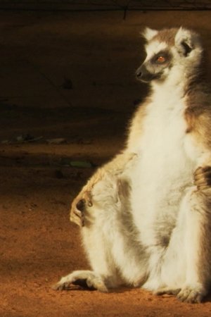 9. epizoda