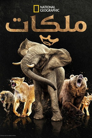 ملكات