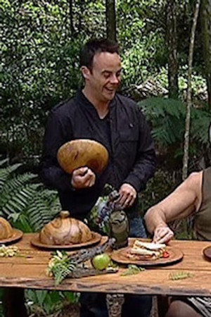 Final: Stakeout / Bushtucker Bonanza / Flash Flood