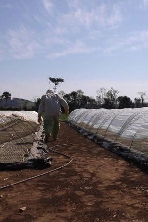 Travessias em Busca da Agroecologia