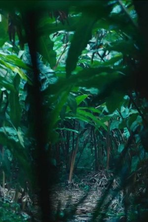 5. epizoda