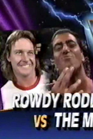 May 11, 1991 - Superstars of Wrestling 245