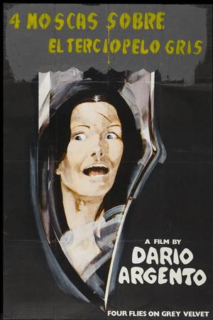 Imagen de 4 moscas sobre terciopelo gris