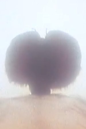 episode