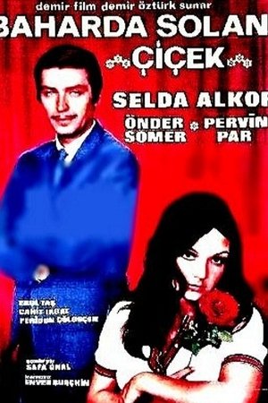 Baharda Solan Çiçek