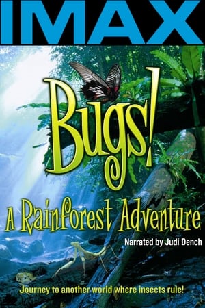 Bugs!: Dobrodružství v deštném pralese
