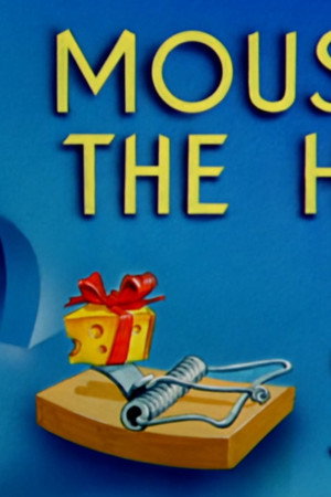 A Mouse in the House