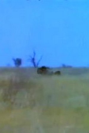6. epizoda