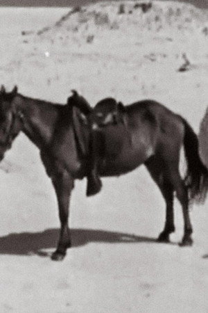 Sable Island