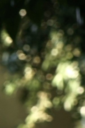 Glimmering