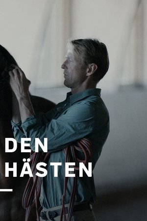All In - den bevingade hästen
