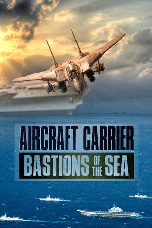 Aircraft Carriers: Bastions Of The Sea