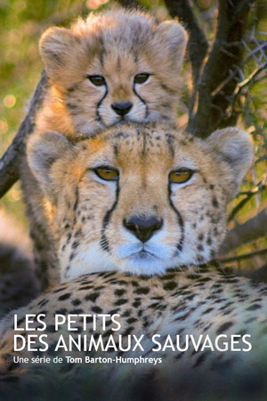 Les animaux sauvages et leurs petits