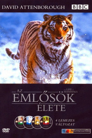 Az emlősök élete