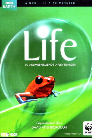 Life