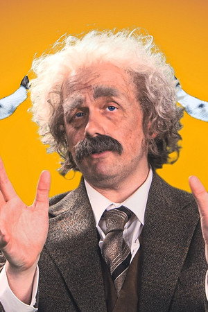 Catapulting Cows, School of Rocks and First Honk of the Proms