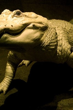 16. epizoda