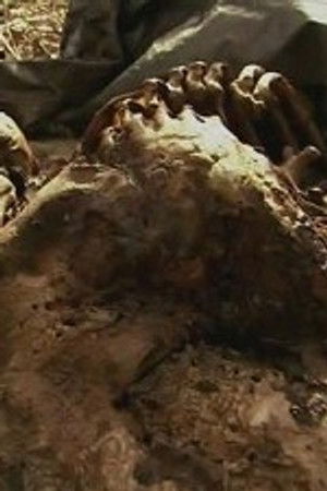 Vetřelci a zlá místa