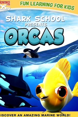 Shark School: Orcas