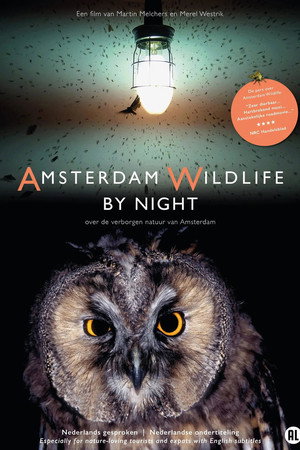 Amsterdam Wildlife by Night