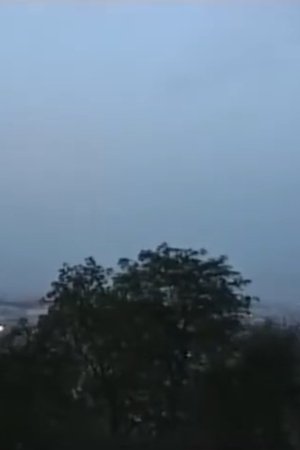 L'internationale des fonctionnaires