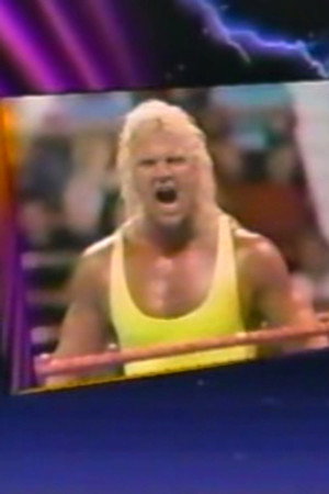 November 3, 1990 - Superstars of Wrestling 218