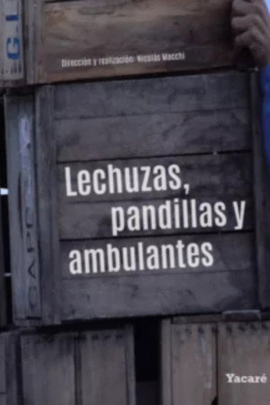 Lechuzas, pandillas y ambulantes