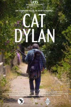 Cat Dylan
