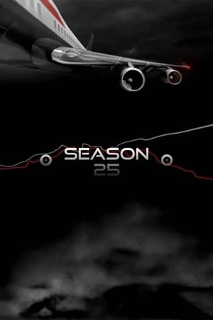 Temporada 25