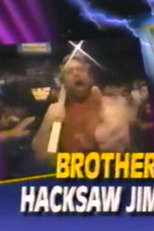December 1, 1990 - Superstars of Wrestling 222