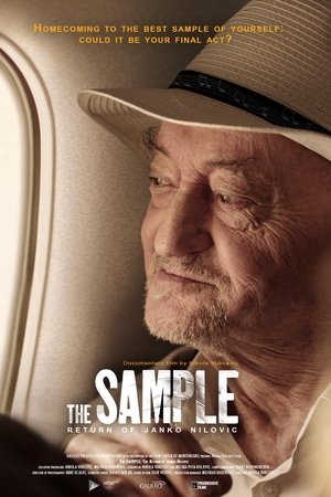 The Sample: Povratak Janka Nilovića