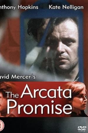 The Arcata Promise