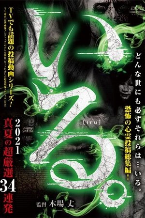 「Iru.」2021 Manatsu no Chō Gensen 34 Renpatsu