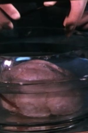 episode