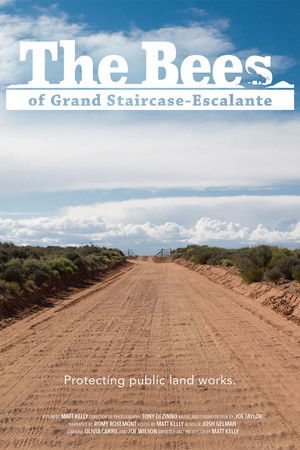 The Bees of Grand Staircase-Escalante