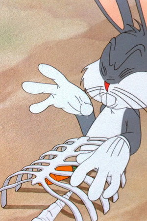 Bugs Bunny Gets The Boid