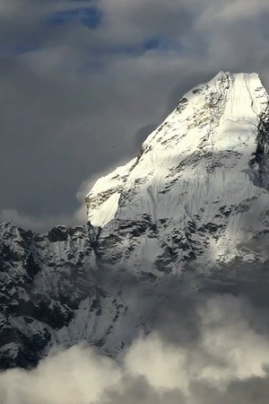24. epizoda
