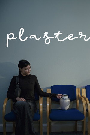 Plaster