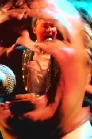 Tim and Eric Awesome Tour 2008