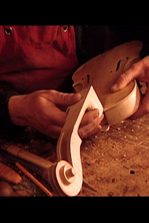 Prepared Mustard, Violins, Nuts and Bolts, Toilet Paper