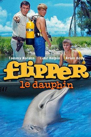 Flipper le dauphin
