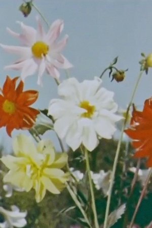 Spring Comes to Kashmir