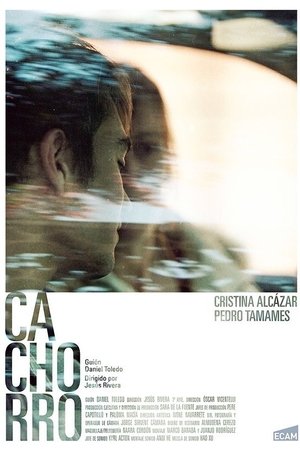 Cachorro