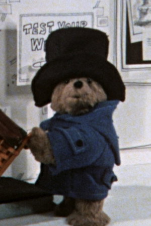 Paddington Weighs In