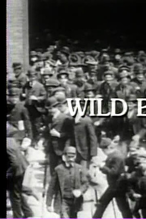 Wild by Law